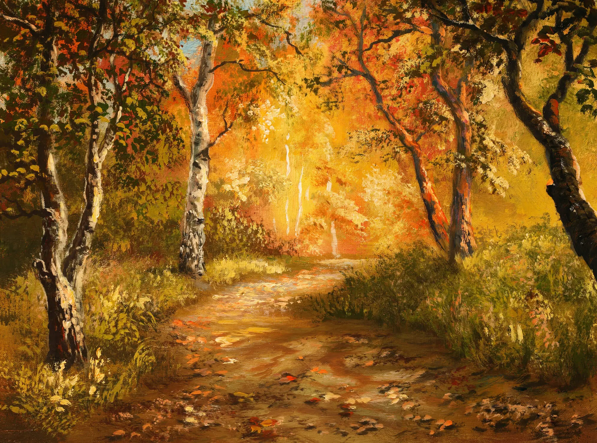 Sunlit autumn trees along forest trail