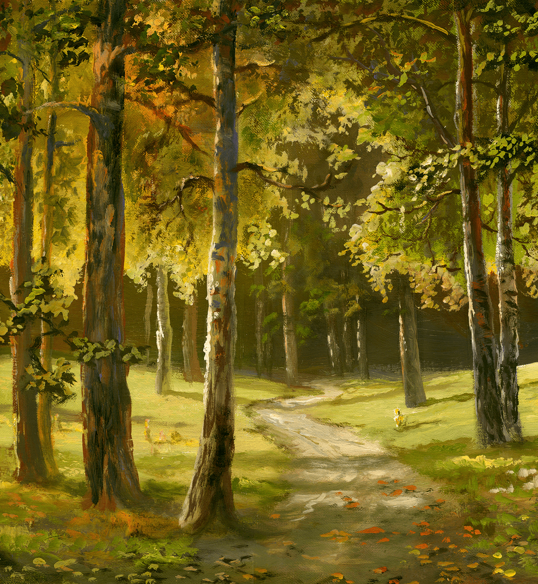 Sunlit forest path surrounded by trees.