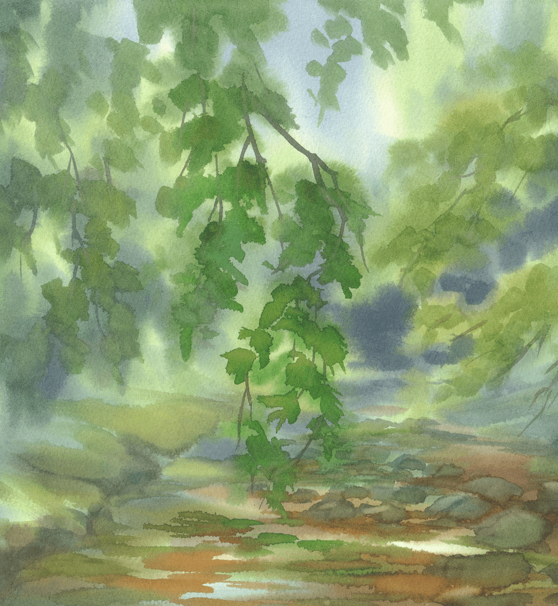 Green branches over a tranquil forest stream.