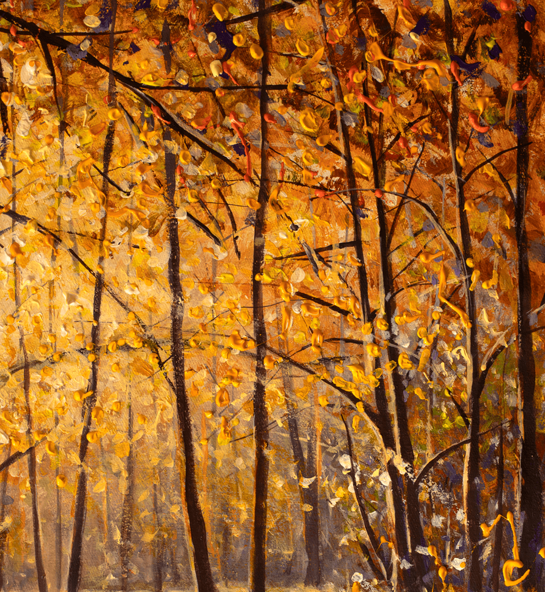 Fall forest scene with sunlight