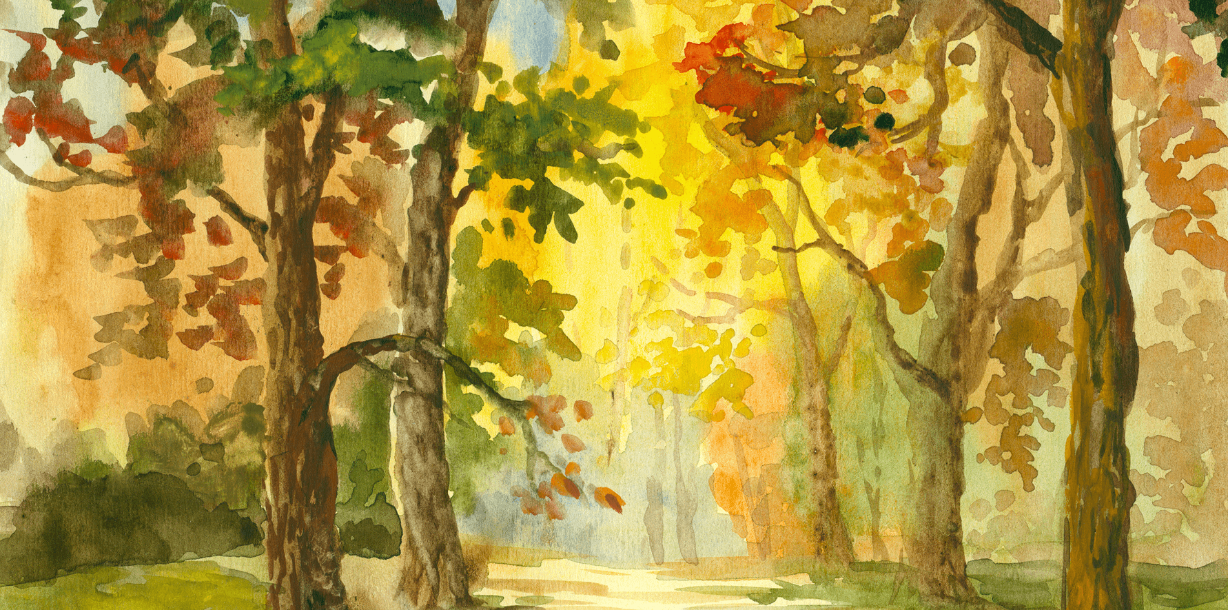 Scenic forest pathway in watercolor art