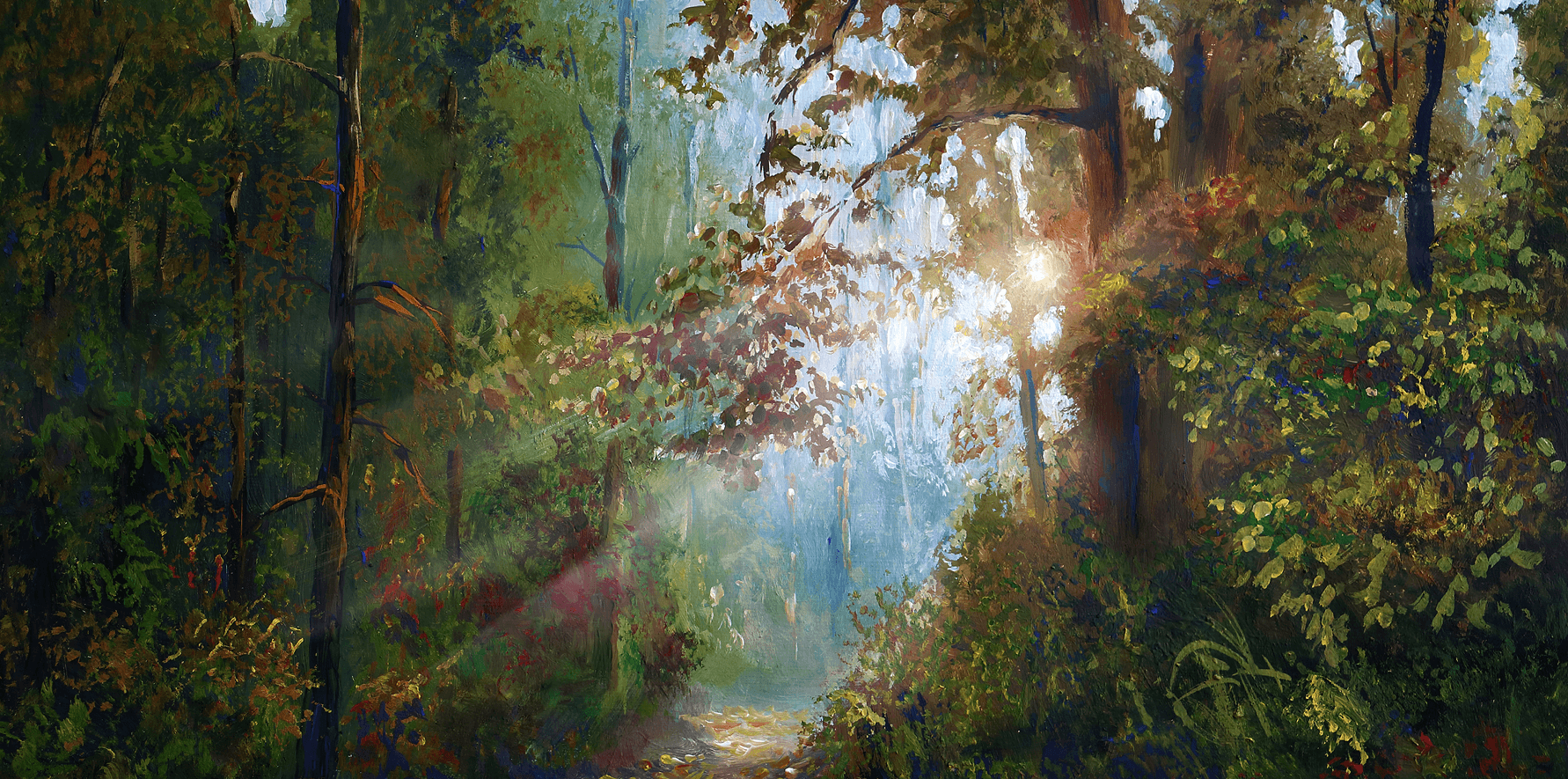 Sunlit forest path with lush greenery