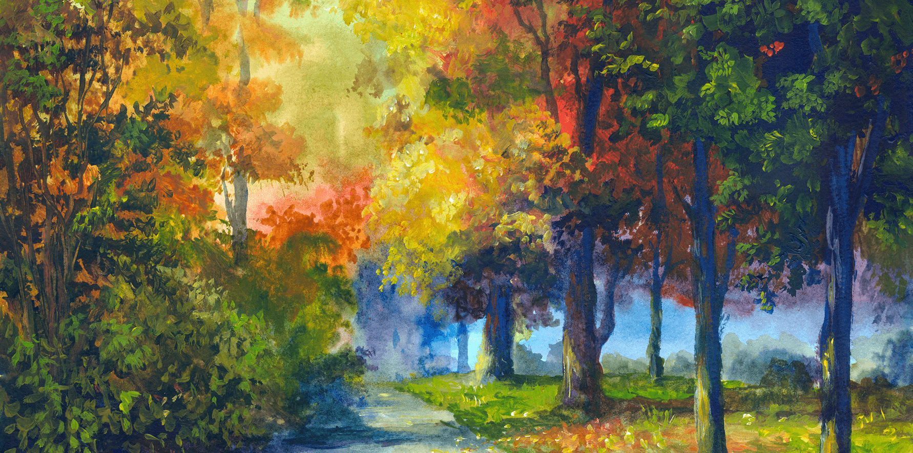 Vibrant fall foliage in forest