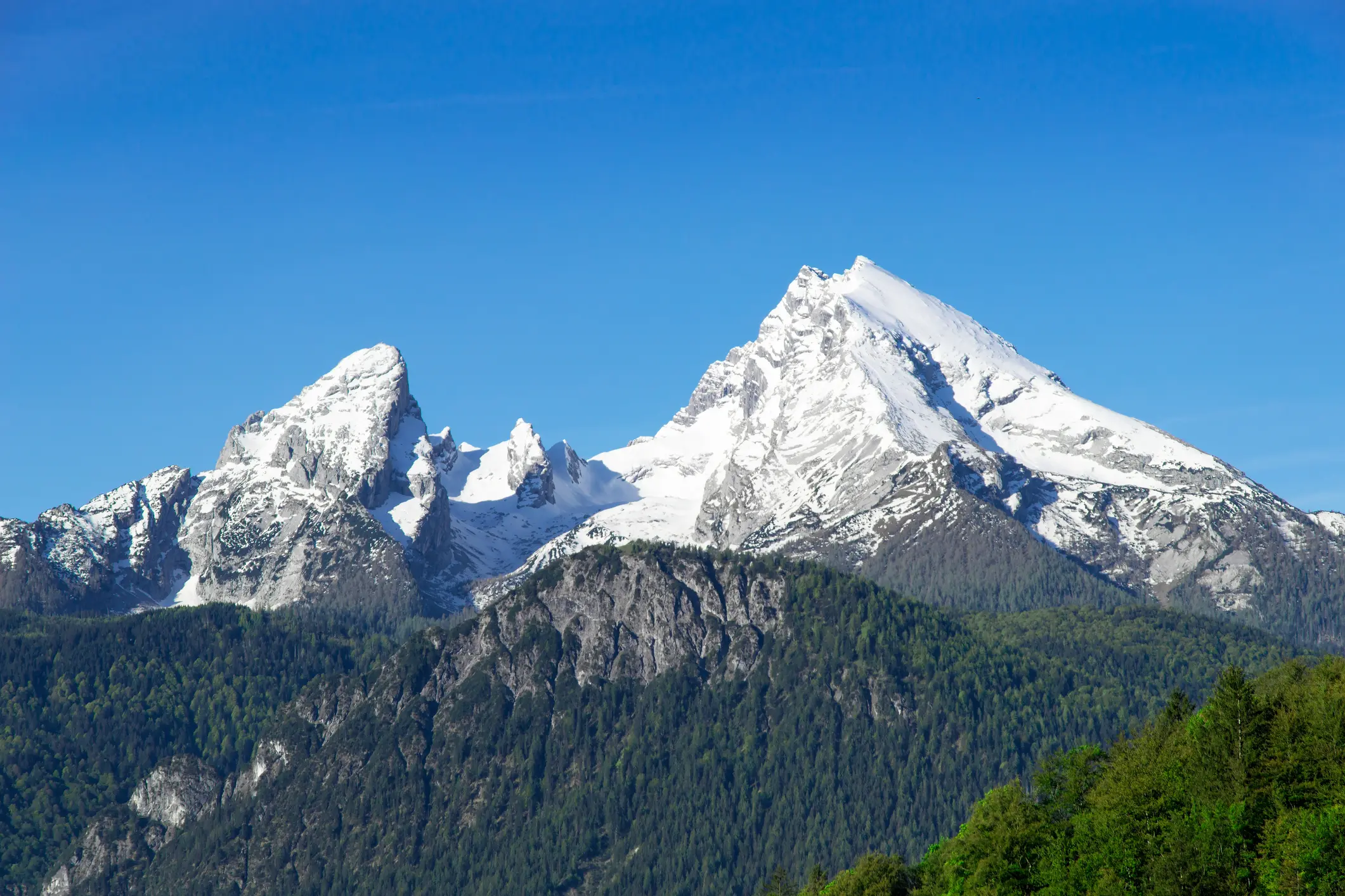 Snow-capped mountain peaks above forested foothills